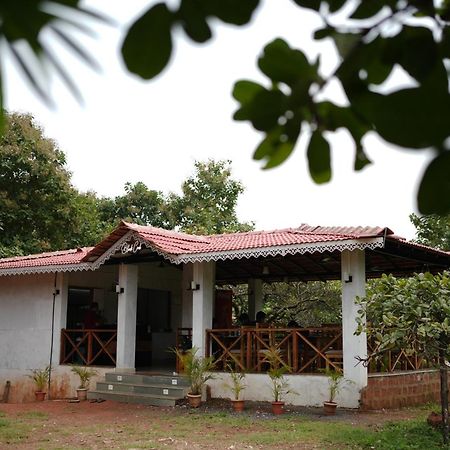 Cola Cabo De Rama Cottage מראה חיצוני תמונה